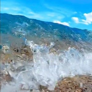 Meet your Posher, Abigail